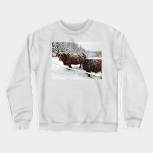 Scottish Highland Cattle Cow and Calf 1599 Crewneck Sweatshirt